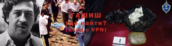 индика Абаза