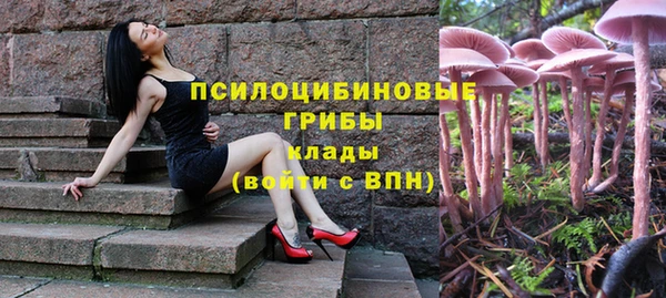 молекула духа Абдулино