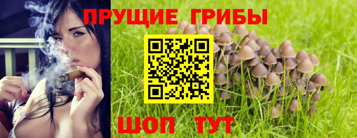 Галлюциногенные грибы Cubensis  где можно купить   Заволжье  Вход с VPN 